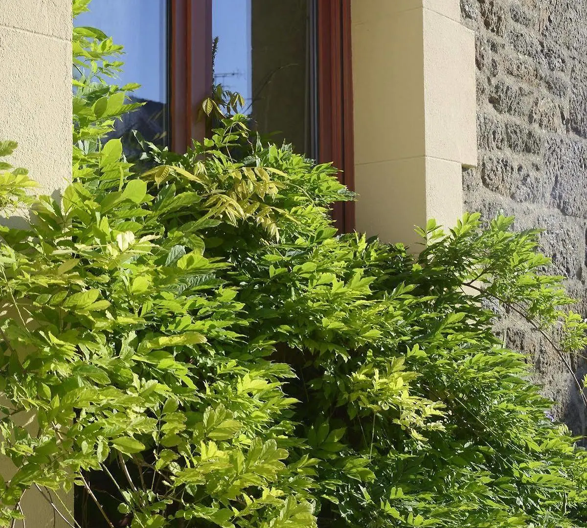 Hotel Les Charmettes Saint-Malo